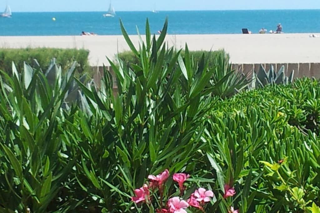 Cros Mer Et Piscine Saint-Pierre-la-Mer  Екстериор снимка